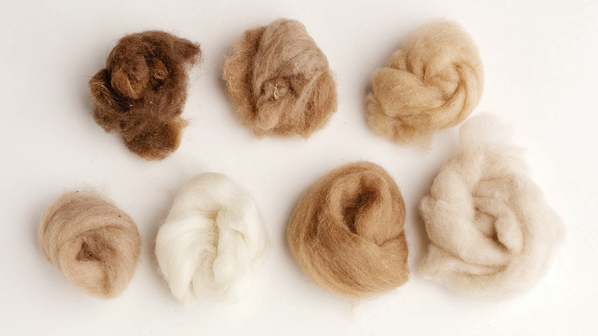 انواع پشم‌های ایرانی