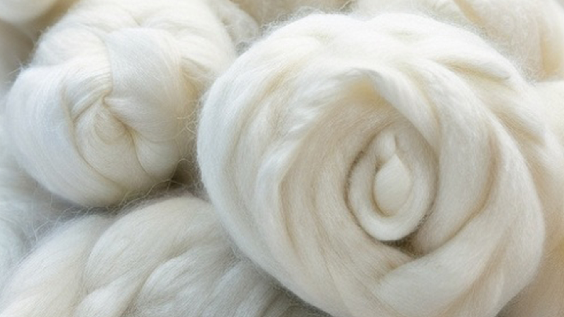 ده نکته جالب درباره پشم