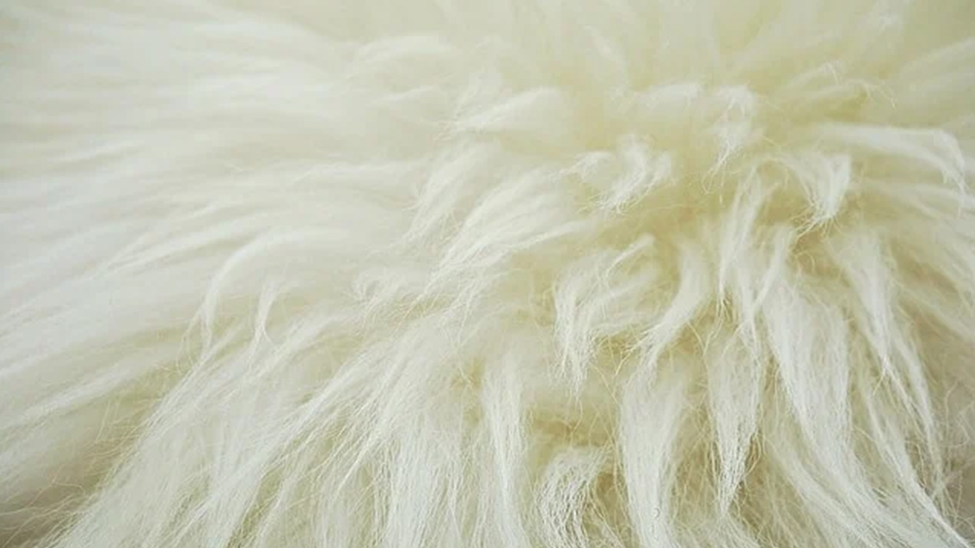 پشم خوب را چطور تشخیص دهیم؟